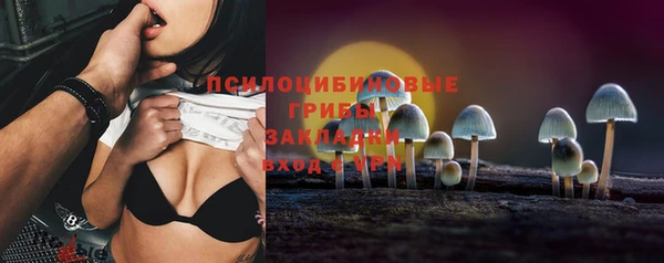 МДМА Лагань