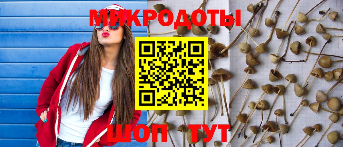 Туапсе  Псилоцибиновые грибы MAGIC MUSHROOMS  купить закладку  Псилоцибиновые грибы Magic Shrooms  Вход с VPN 